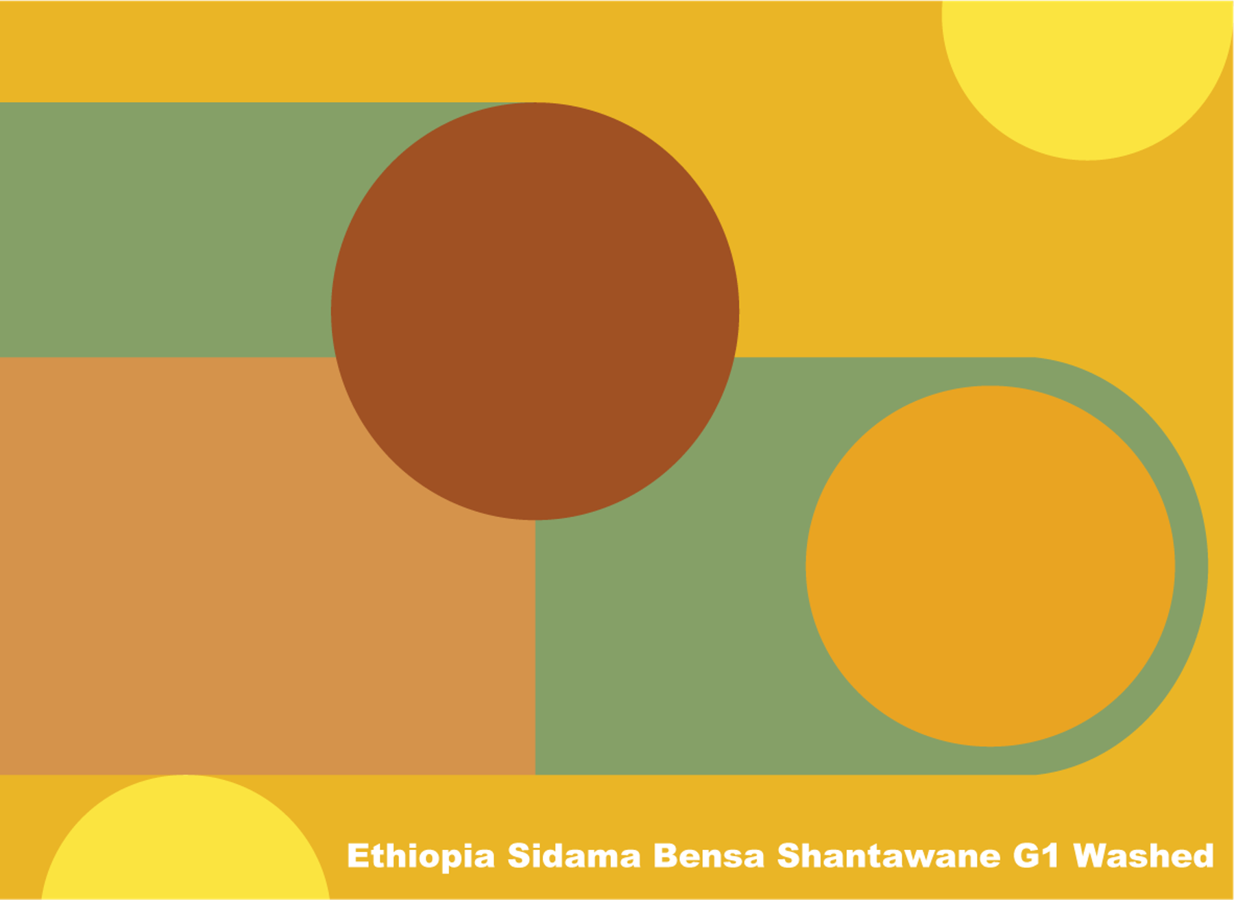 에티오피아 시다마 벤사 산타와니 G1 워시드  Ethiopia Sidama Bensa Shantawane G1 Washed 200g